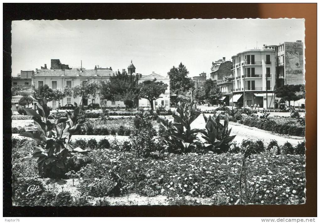 CPSM Algérie SIDI BEL ABBES La Nouvelle Place et l'Entrée du Boulevard de la République