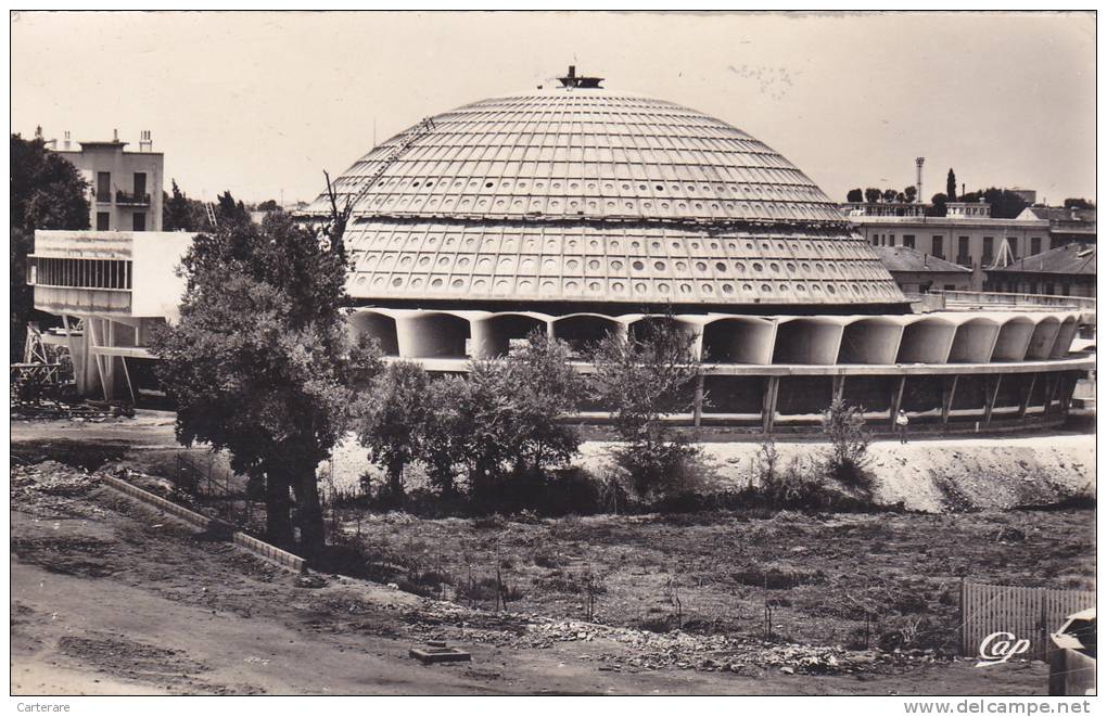 AFRIQUE DU NORD,AFRICA,MAGHREB,SIDI BEL ABBES en 1950,ALGERIE,ALGERIA,HALL ES,ZONE COMMERCIALE,COUPOLE