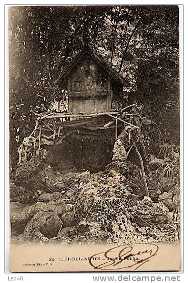 Algérie Sidi Bel Abbes Jardin public