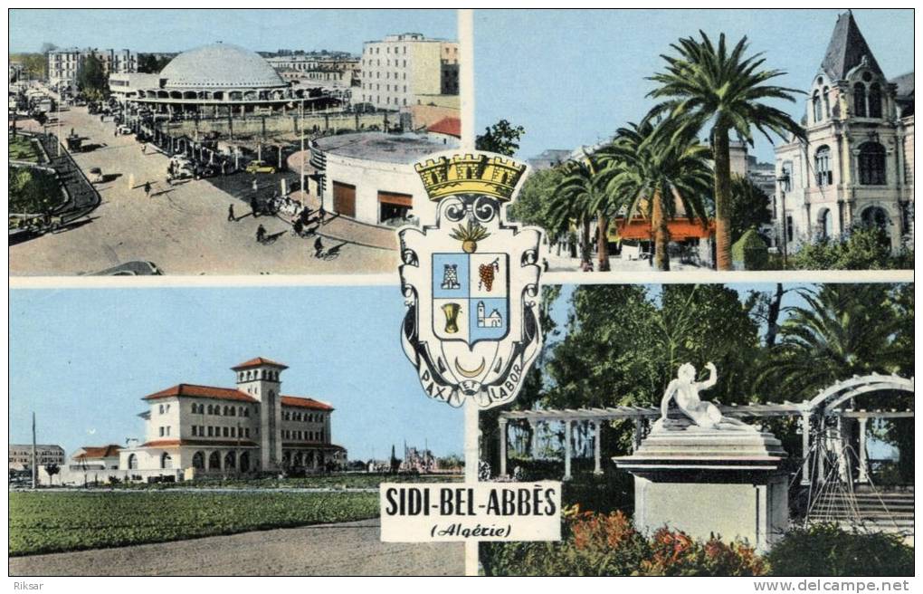 ALGERIE(SIDI BEL ABBES)