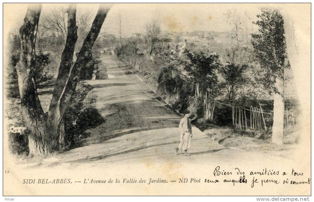 ALGERIE(SIDI BEL ABBES)