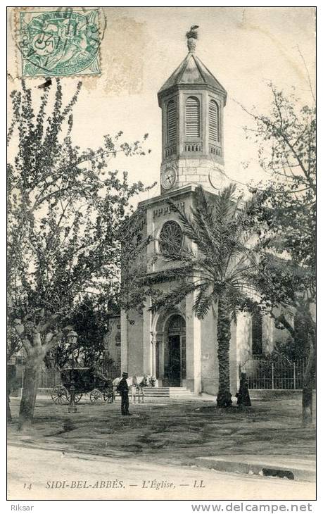 ALGERIE(SIDI BEL ABBES)