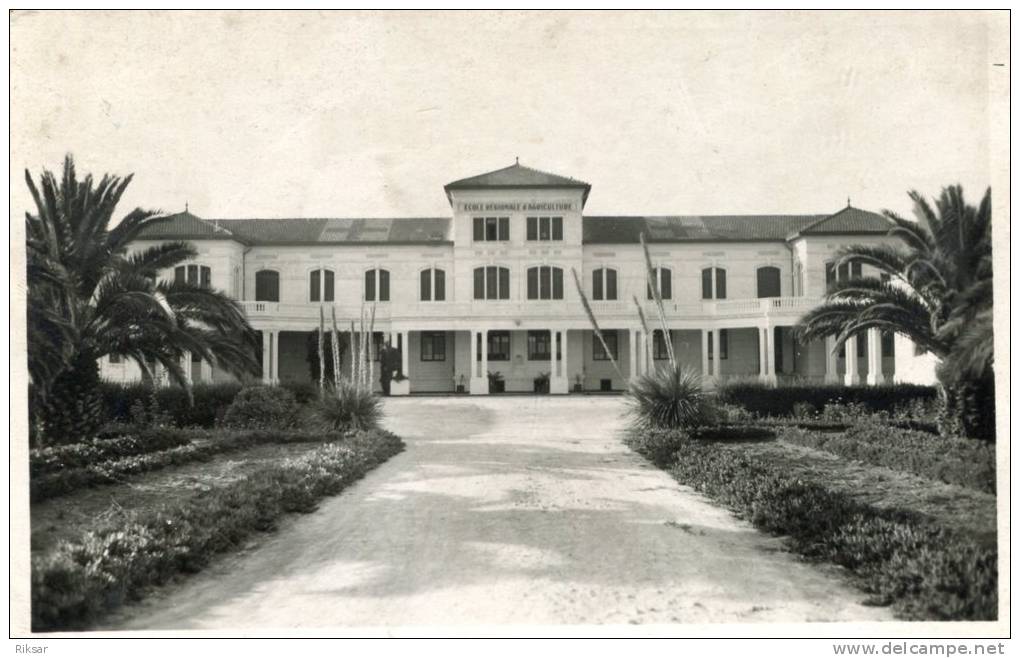 ALGERIE(SIDI BEL ABBES) ECOLE D AGRICULTURE
