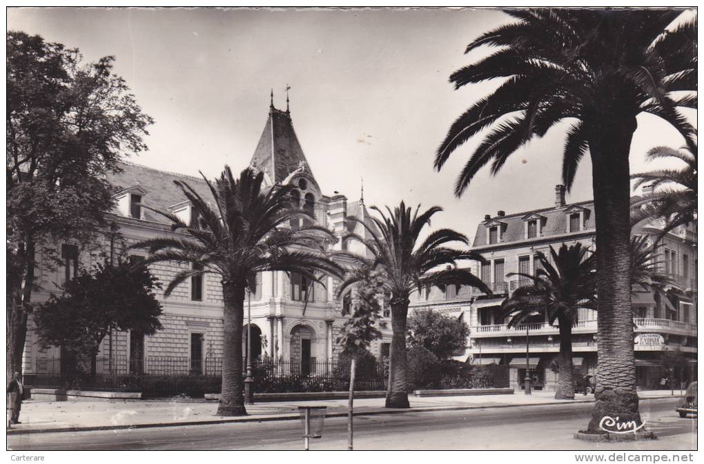 afrique du nord,AFRICA,AFRIKA,ALGERI E française,ALGERIA,SIDI BEL ABBES EN1954,pres oran,mairie,hotel de ville,ets yerles