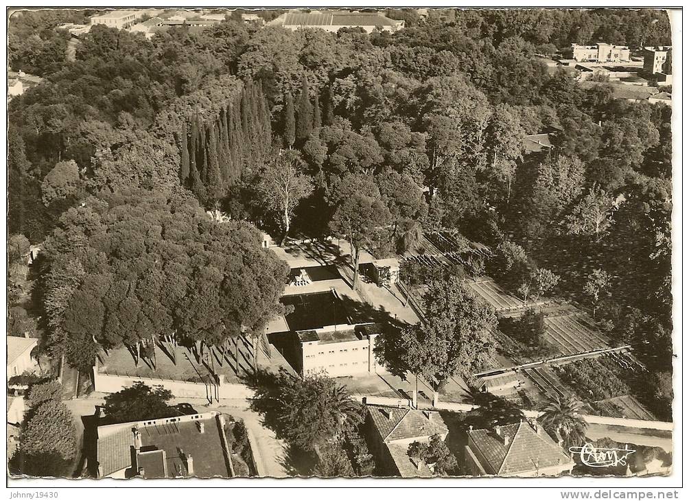12 - SIDI-BEL-ABBES ( ORAN ) VUE AERIENNE DE LA PISCINE MUNICIPALE DANS LE JARDIN PUBLIC (  ) ALGERIE