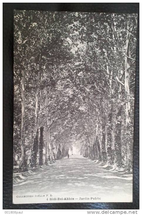 sidi bel abbès - jardin public