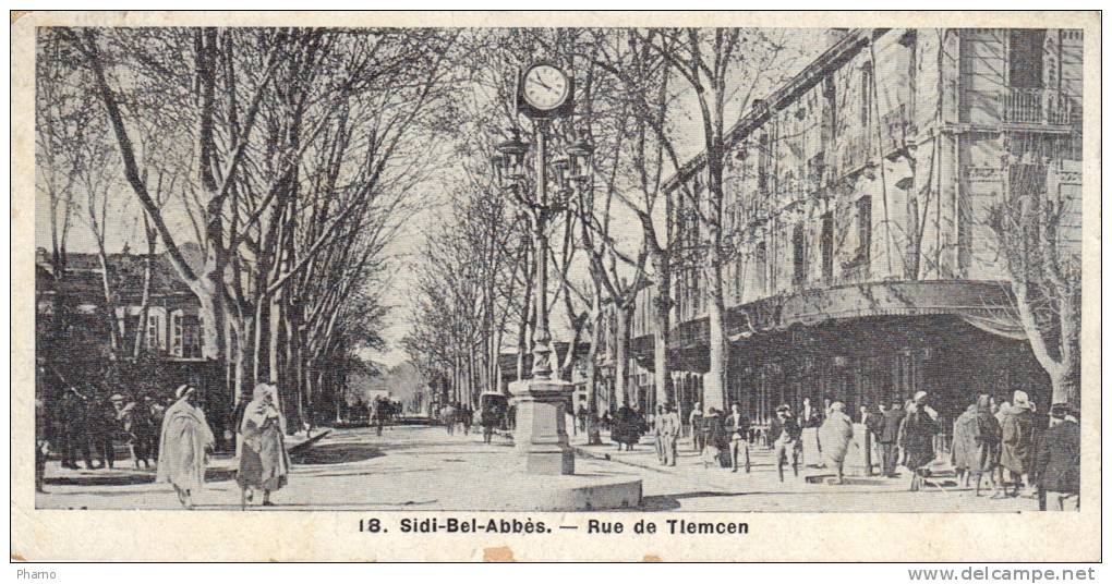 Algerie Sidi Bel Abbes Rue de Tlemcen mignonette
