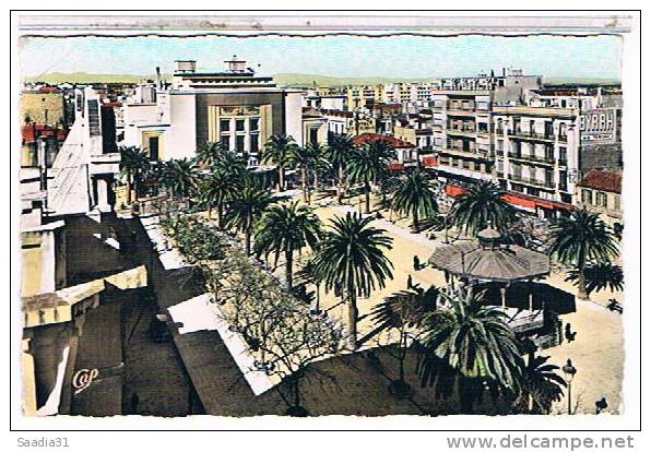 SIDI  BEL ABBES  PLACE  CARNOT  ET  LE THEATRE       CPSM  TBE   1V327