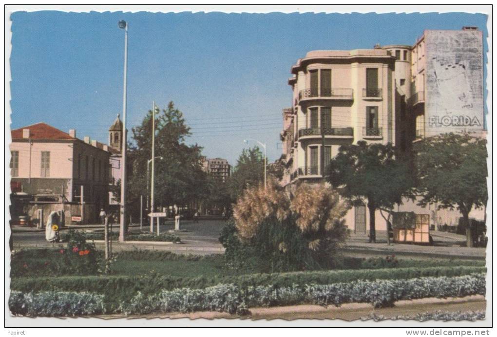 Rare carte Algerie Sidi Bel Abess Place du General De Lattre de Tassigny