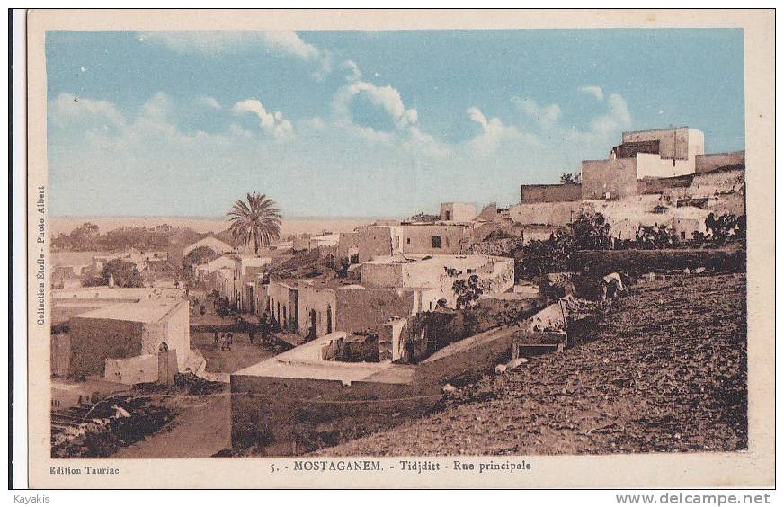 n - rare Cpa SIDI-BEL-ABBES -  Tidjditt - Rue principale