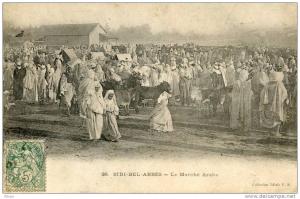 ALGERIE(SIDI BEL ABBES) MARCHE