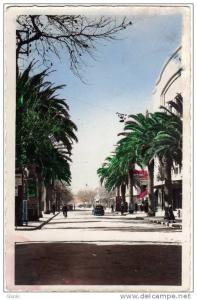 AK Algerien Sidi-Bel-Abbes (Oran), Boulevard de la Republique, gel. 1953