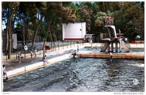 ALGERIE. SIDI BEL ABBES. La Piscine Municipale et Le Théatre de Verdure. Carte Dentelée.