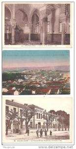 SIDI BEL ABBES - Lot  de  7  cartes