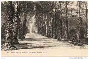 ALGERIE  SIDI BEL ABBES   Le Jardin Public   ..... ( Ref FA661 )