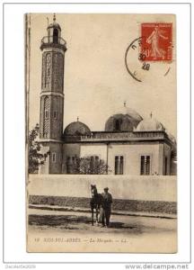 BC62231 Sidi Bel Abbès La Mosquee chevau horse used perfect shape 2 scans