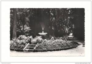 cp, Algérie, SIdi-Bel-Abbès, Le Jardin Publice, L'Allée Principale