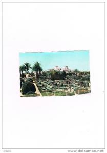 cpsm  de sidi  bel abbes l'hopital