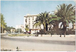 cpsm algerie sidi bel abbes  vue de bel abbes