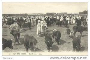 CP Algerien Sidi-Bel-Abbès Marchée aux boeufs ~1900 #01