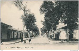 ALGERIE - SIDI-BEL-ABBES - Avenue Kléber