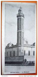 Algérie - CP N° AM297 - Sidi Bel Abbès - CPA/Mignonette/N