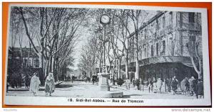 Algérie - CP N° AM296 - Sidi Bel Abbès - CPA/Mignonette/N