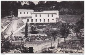 AFRIQUE,AFRICA,Algérie,ca rte photo MERCIER LACOMBE EN 1950,SFIZEF,SFISSEF,sidi bel abbes,colonie de vacances