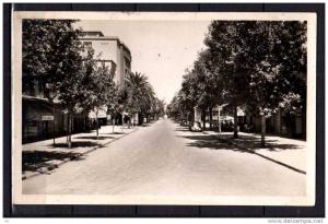 Algérie - Sidi-Bel-Abbès - Boulevard de la République