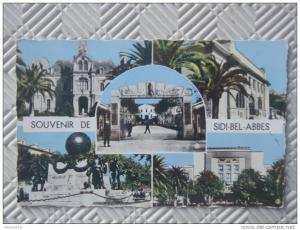 Belle CPSM colorisée (format CPA)   Souvenir de SIDI-BEL-ABBES    SIRECKY    Circulée sans date - Très bon état