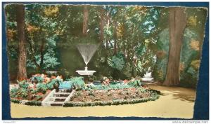 SIDI-BEL-ABBES.Le Jardin Public.Allée Principale.Cpsm,voyagé,be ,infime plissure