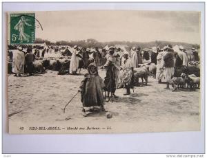 cpa, très belle vue, très belle animation, Sidi Bel Abbes, marché aus bestiaux