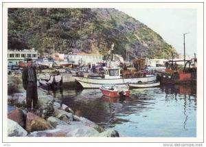 Algerie, Skikda, Port de Peche, ships, circulé oui