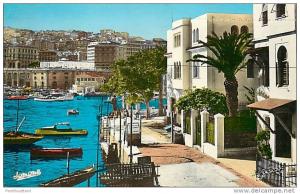 * (ALG)  EL DJEZAIR  *  CPM CPSM  -