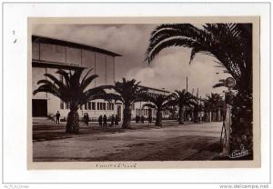 PHILIPPEVILLE , LES PALMIERS