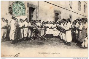 ALGERIE - PHILIPPEVILLE - Les Patates
