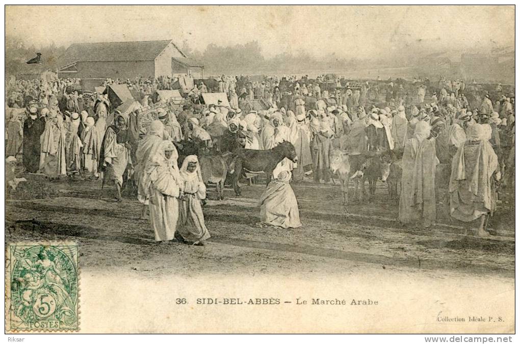 ALGERIE(SIDI BEL ABBES) MARCHE