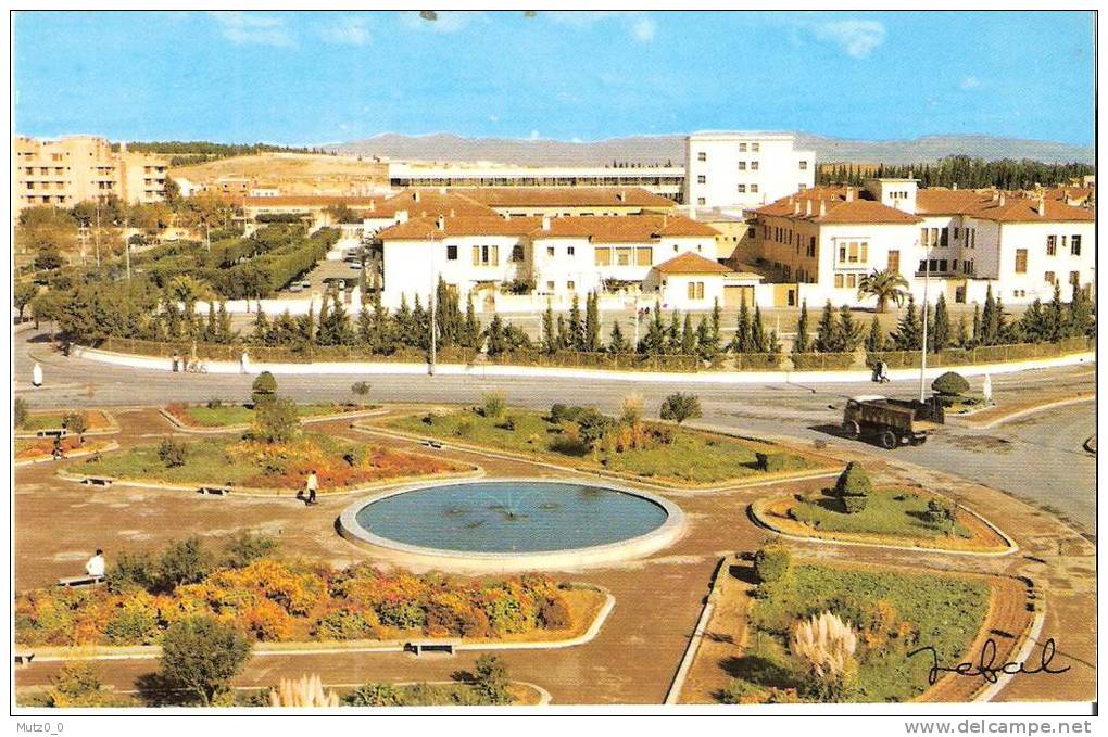AK 354  Sidi-bel-Abbes , Place des Martyres - Partie um 1960-70