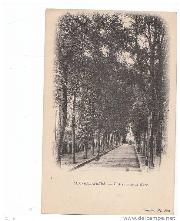 CPA  ALGERIE  SIDI BEL ABBES  Avenue de la GARE Bordée d' Arbres