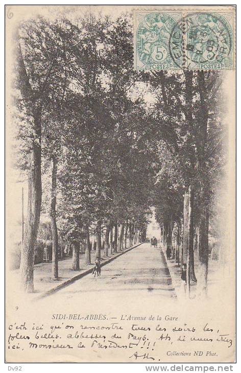 ALGERIE SIDI BEL ABBES AVENUE DE LA GARE