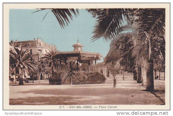 Algeria Sidi-Bel-Abbes Place Carnot