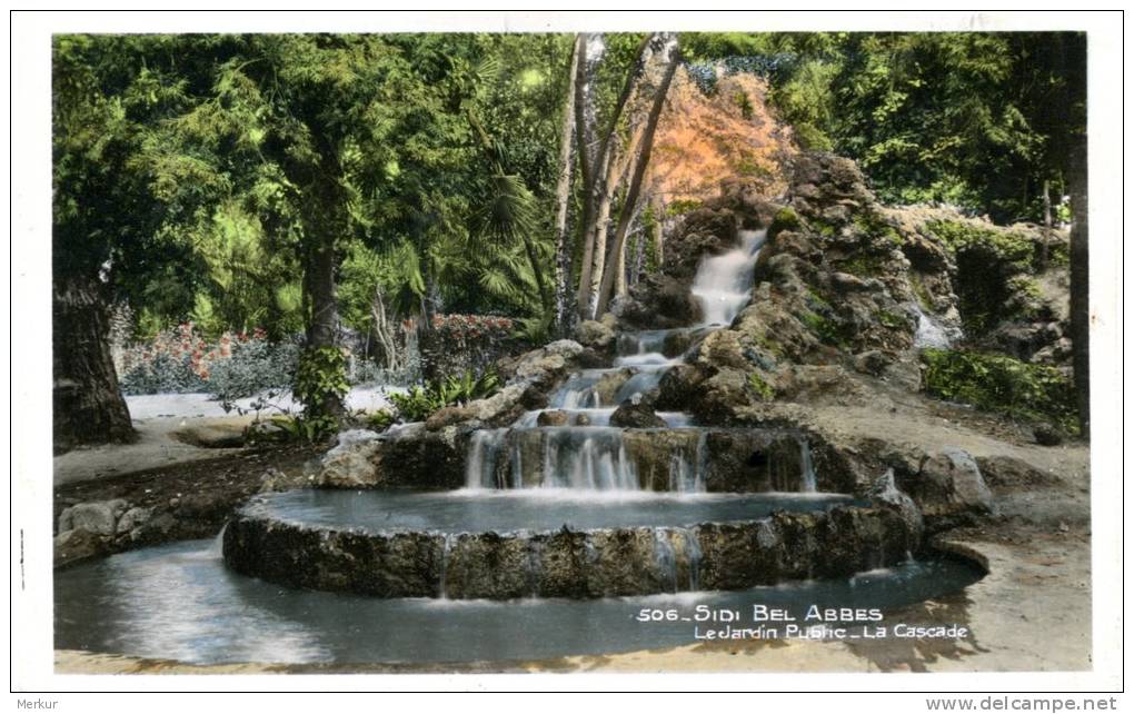 SIDI-BEL-ABBES Le Jardin Public - La Cascade - Belle CPSM (pf) non écrite en très bon état