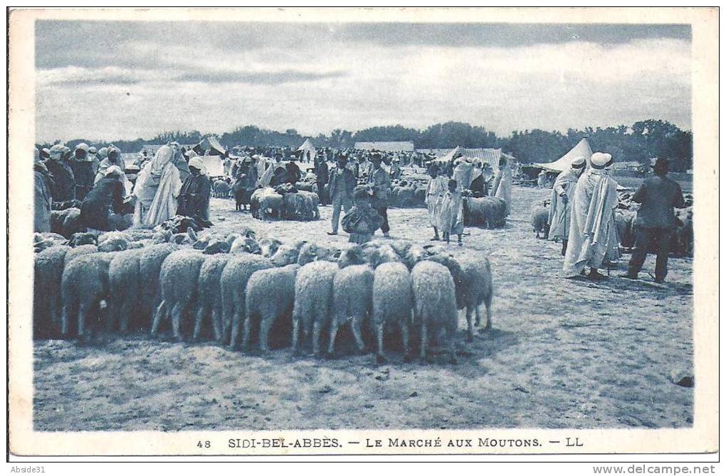 SIDI BEL ABBES  -  Le  Marché  aux  Moutons