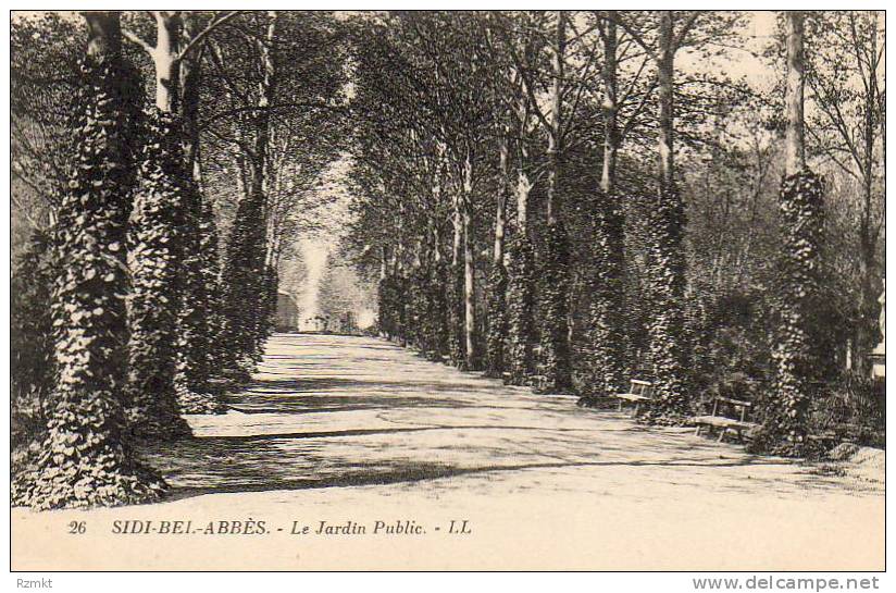 ALGERIE  SIDI BEL ABBES   Le Jardin Public   ..... ( Ref FA661 )