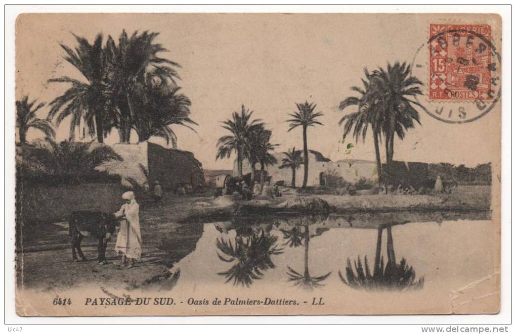 - Souvenir d'une ballade à Sidi-Bel-Abbès. - Oasis de Palmiers-Dattiers. - scan verso -