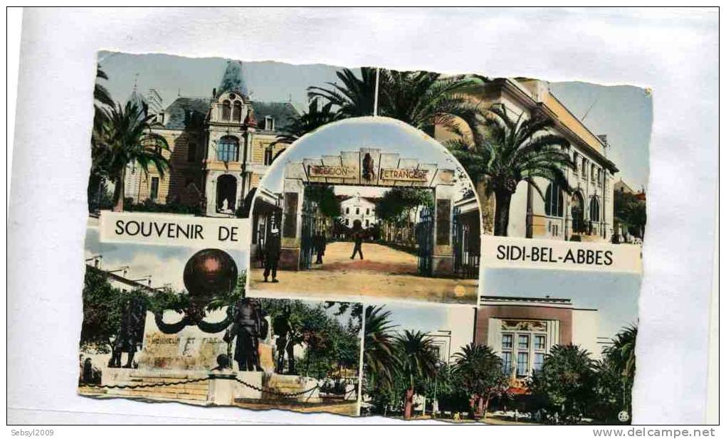 A2A T2 CARTE POSTALE ALGERIE SIDI-BEL-ABBES SOUVENIR DE 5 VISUEL MULTIVUE DONT LEGION