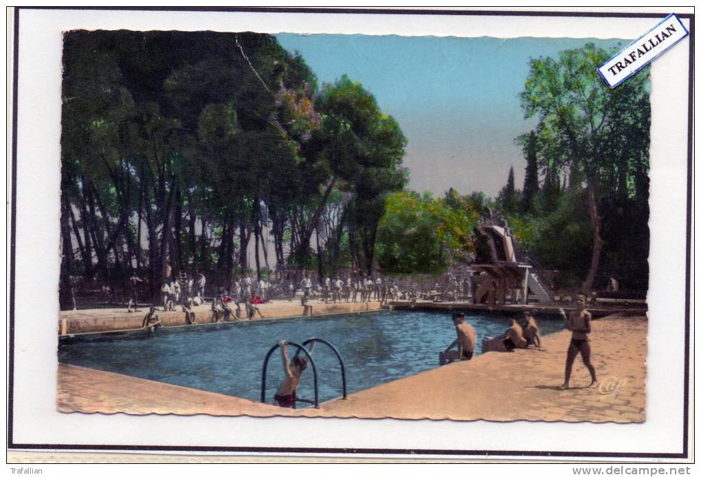 cpsm SIDI-BEL-ABBES - la Piscine