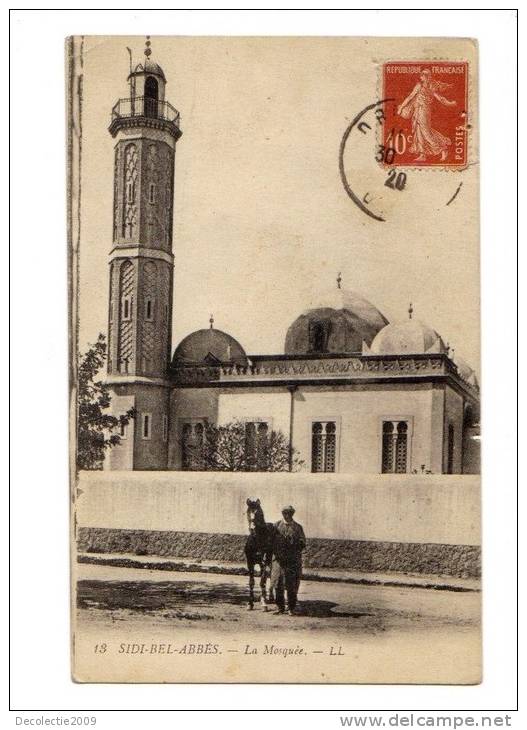 BC62231 Sidi Bel Abbès La Mosquee chevau horse used perfect shape 2 scans