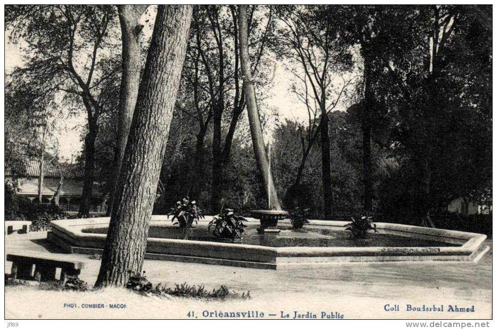 Algérie - Orléansville - Le Jardin Public - 59808
