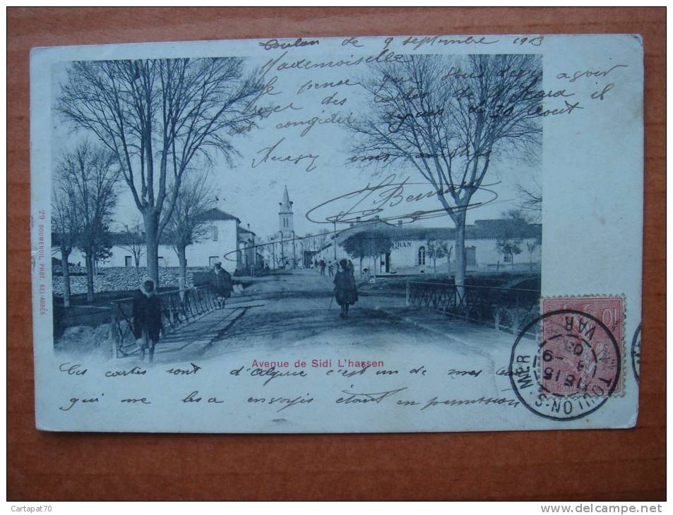 Edition Photo BEL ABBES - Avenue de Sidi L'hassen